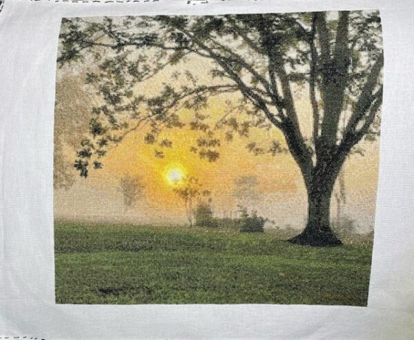 Sunset Under Tree Custom Chart