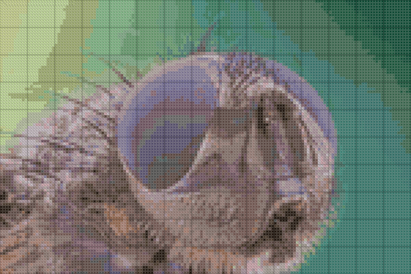 Needle Studio B Eye