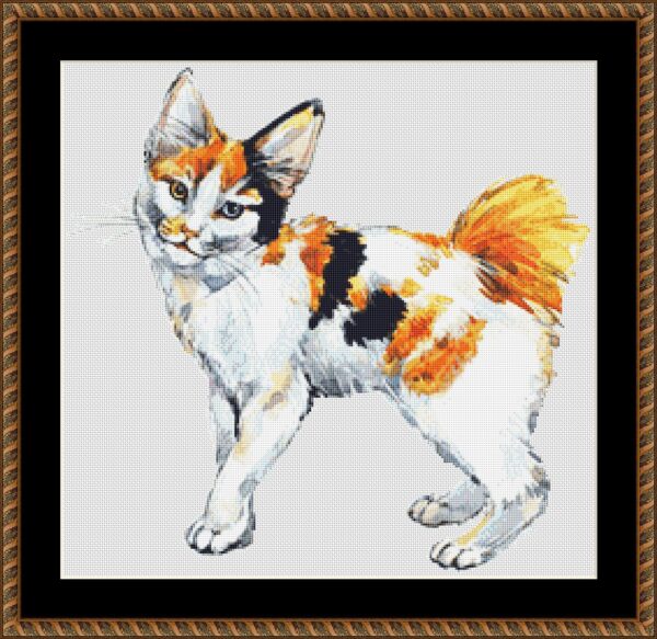 japanese bobtail longhair mockup